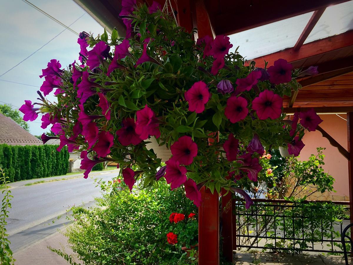 Villa Negra Motel Berzence Esterno foto