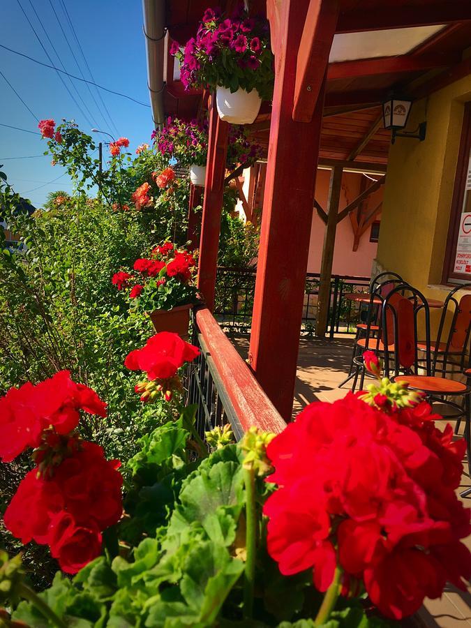 Villa Negra Motel Berzence Esterno foto